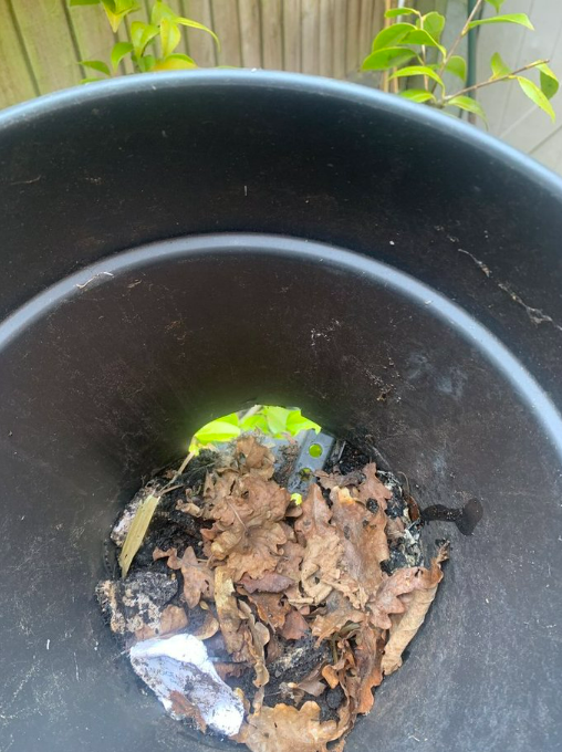 Broken plant pot.