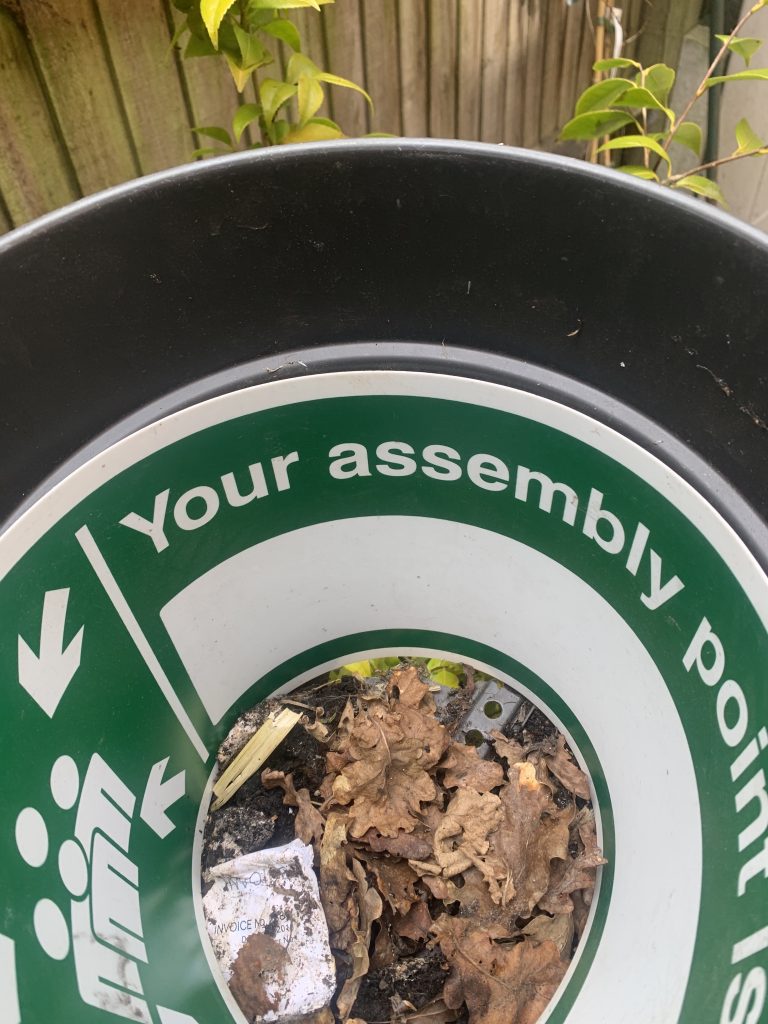 Mended plant pot.