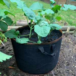 Fabric plant pot / container.