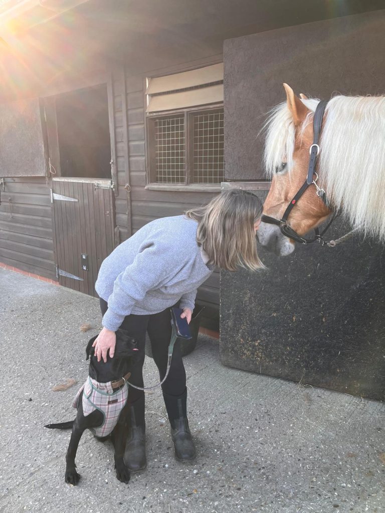 Wokingham - KB Pet Services