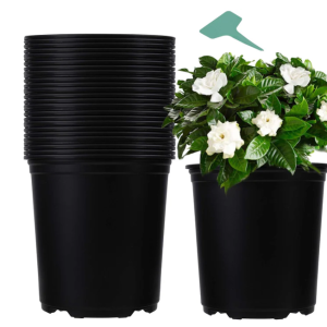 plastic plant pots